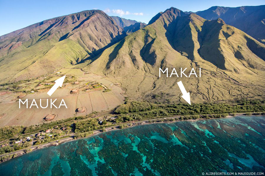 Mauka Makai
