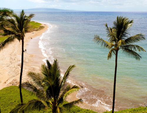 10 steps to the Pacific Menehune Shores