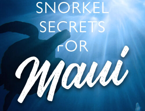 Snorkeling Secrets of Success