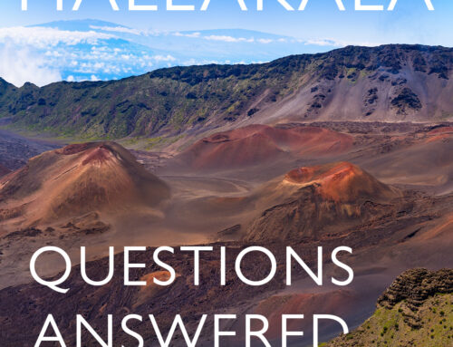 Answered: Your Most Burning Questions About Visiting Haleakala
