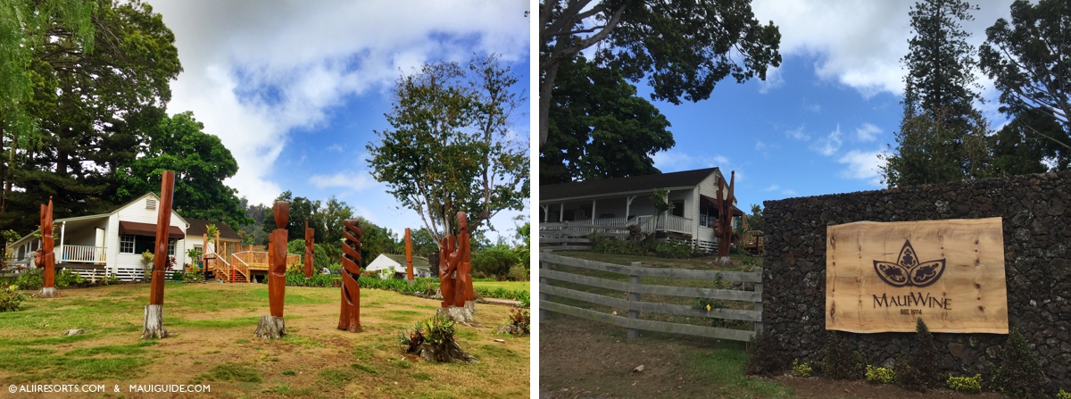 Maui winery