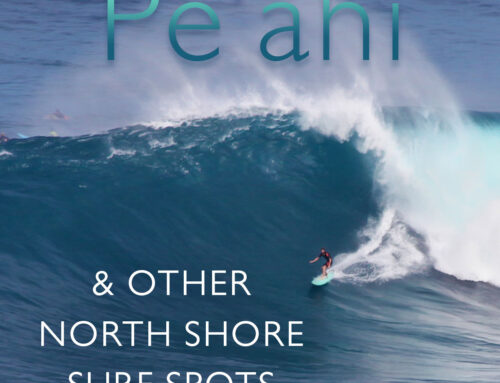 All About Pe’ahi, Jaws and North Shore Maui Surf Spots