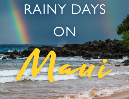 5 Rainy Day Activities and Other Things to Do in Maui