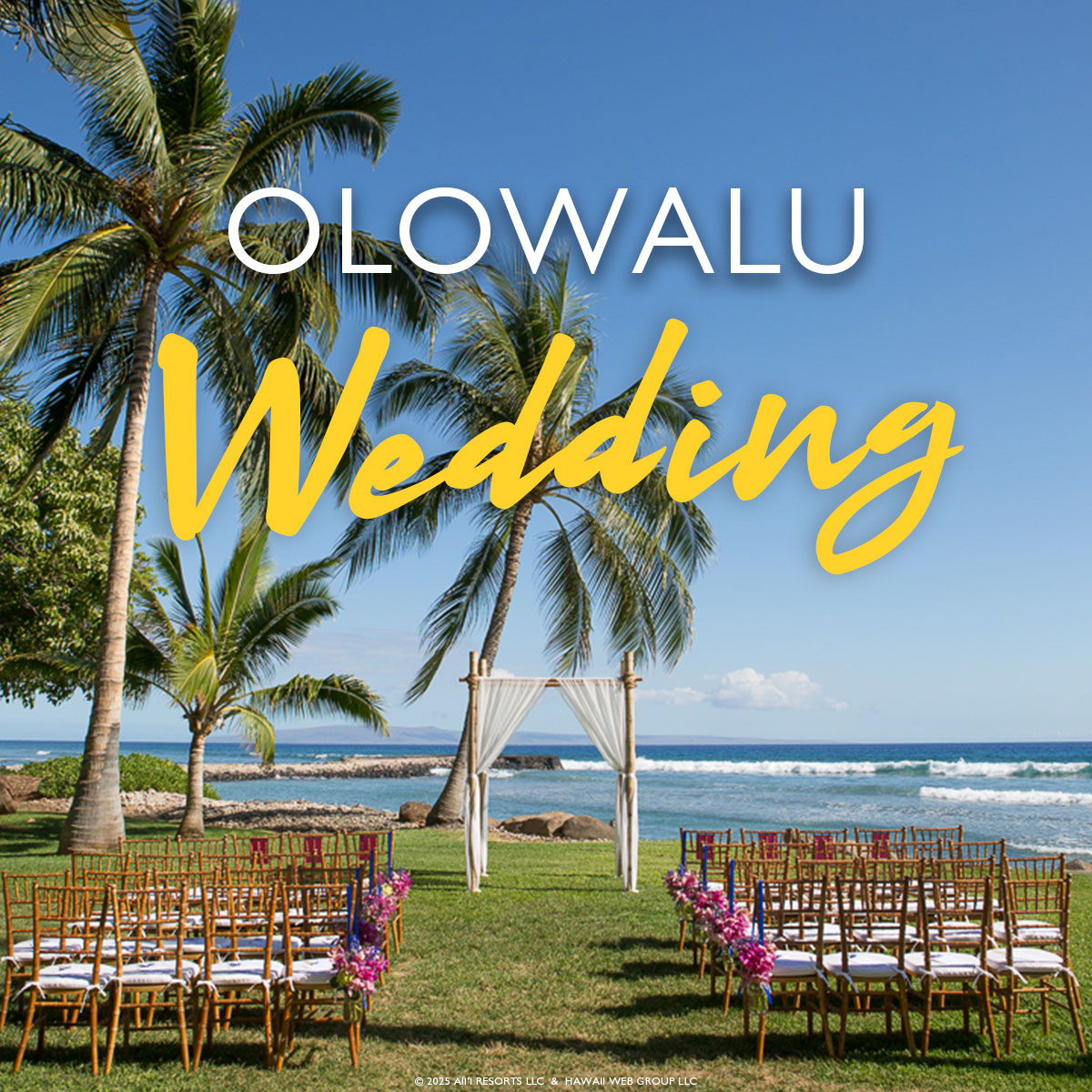 Olowalu wedding in Maui