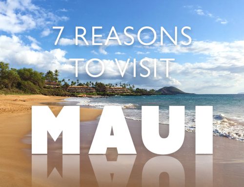 7 More Reasons to Commit to Maui This Year!