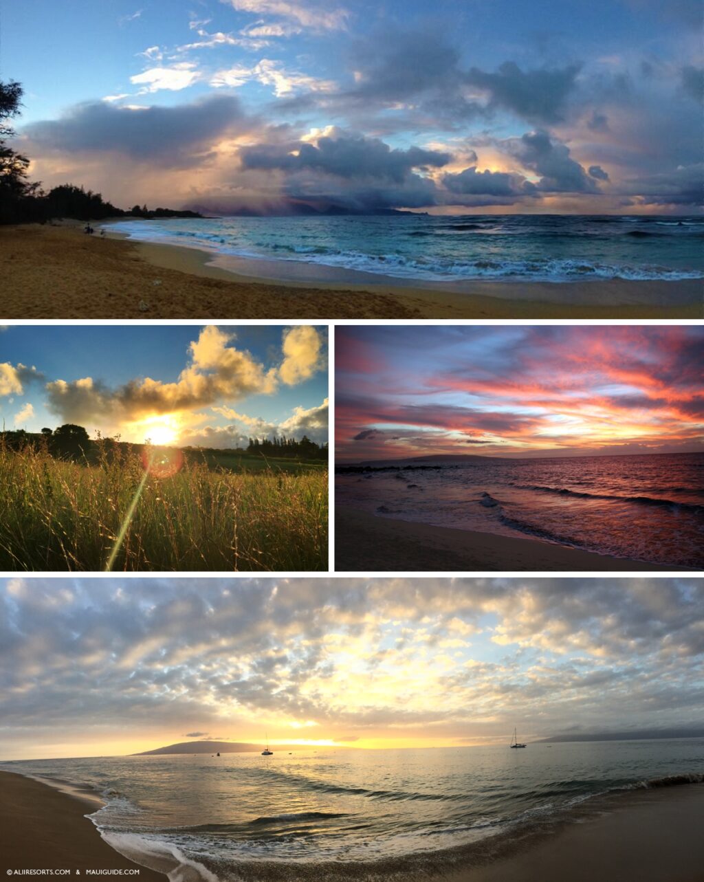Maui sunsets