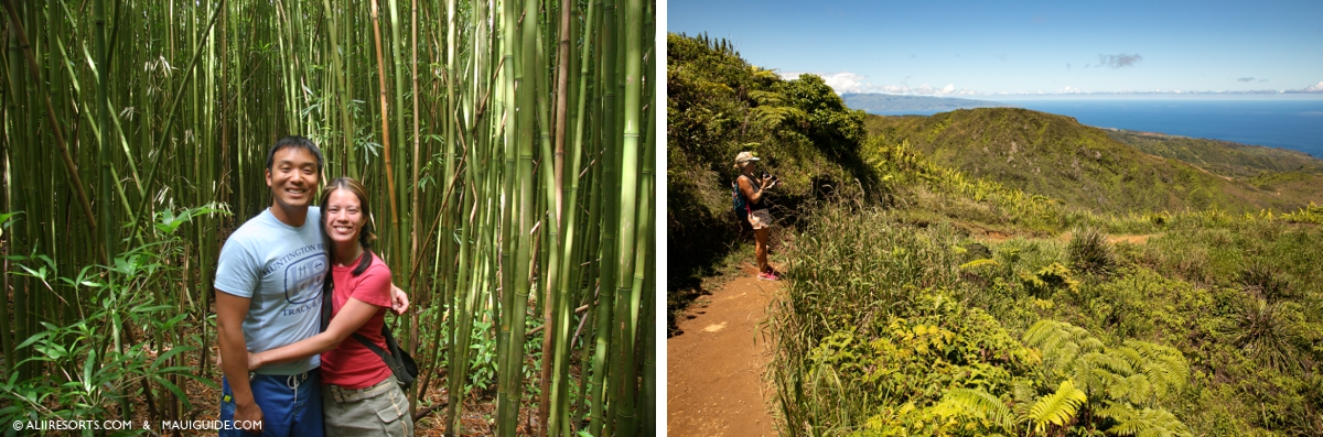 simple Maui hike