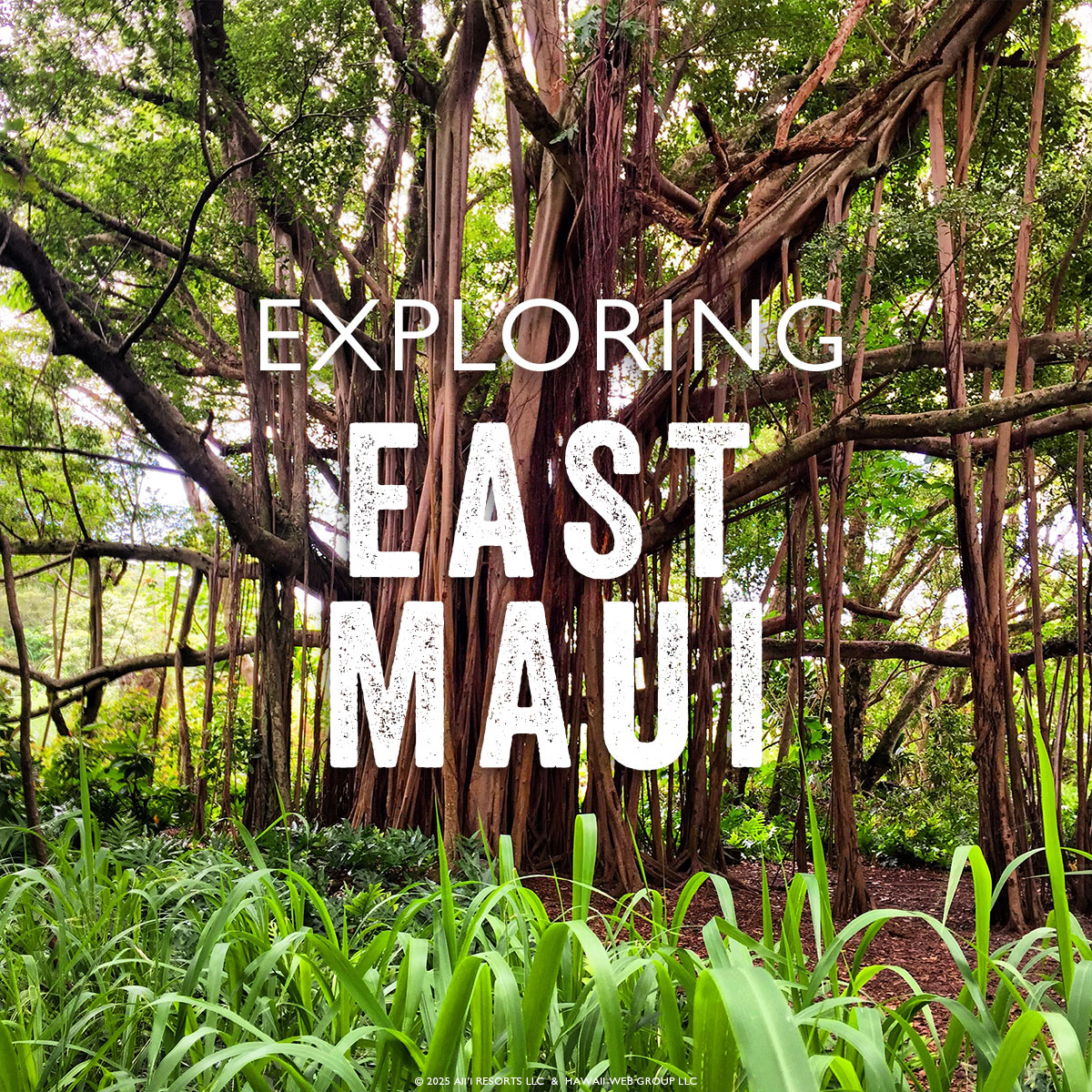 East Maui
