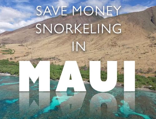 How to Save Money on Snorkeling Tours in Maui