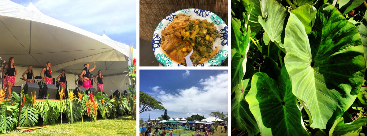 Festivals of Aloha