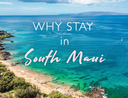 Why You Should Stay in South Maui on Your Vacation