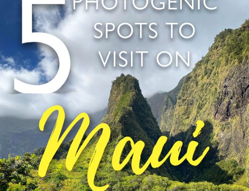 Five Photo Perfect Settings in Maui