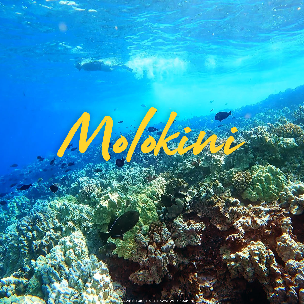 Molokini Maui Hawaii