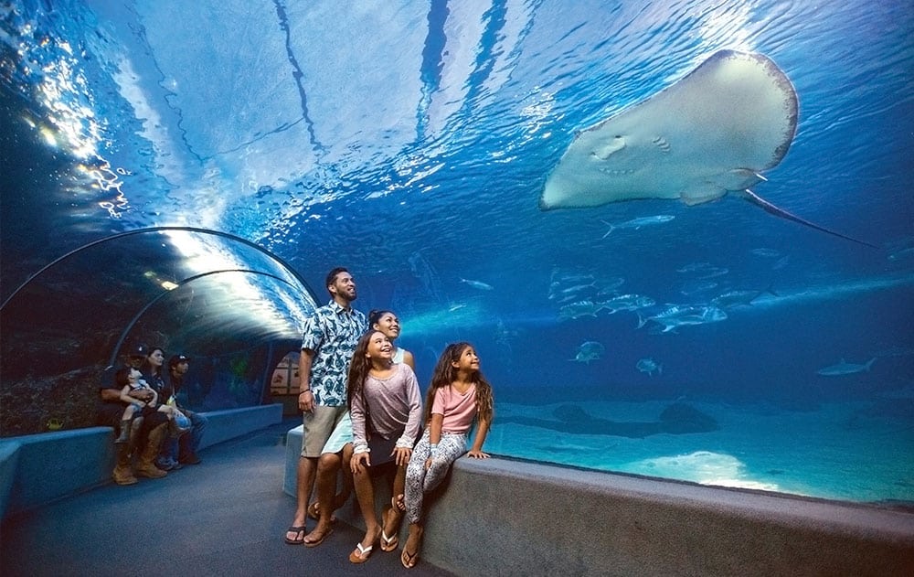 aliiresorts-maui-ocean-center