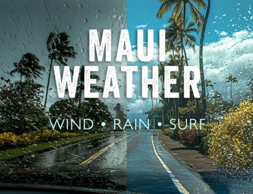 All About the Weather in Maui
