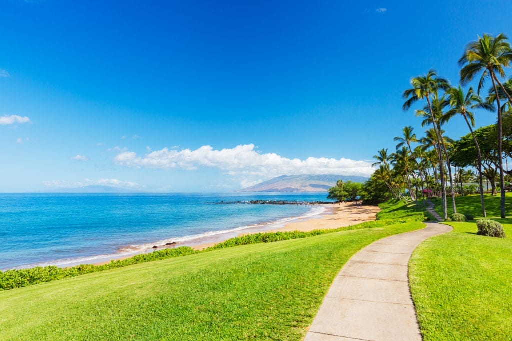 Tropical Beach