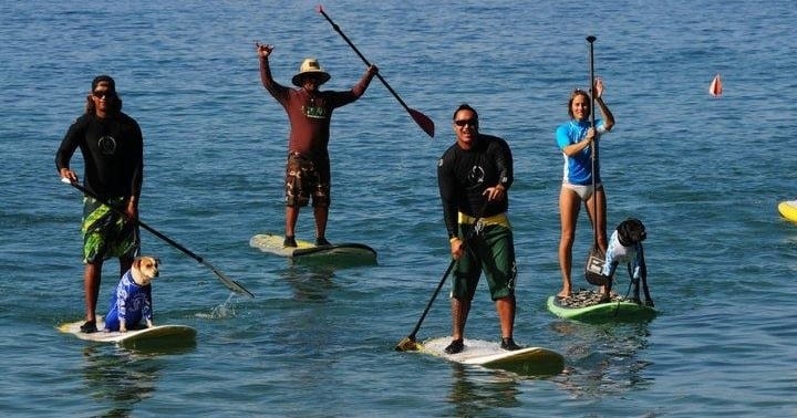 aliiresorts-book-group-SUP-lesson