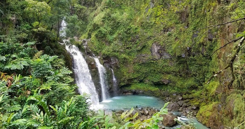 aliiresorts-book-Hana-rainforest-adventure