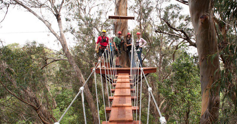aliiresorts-book-canopy-7-Line