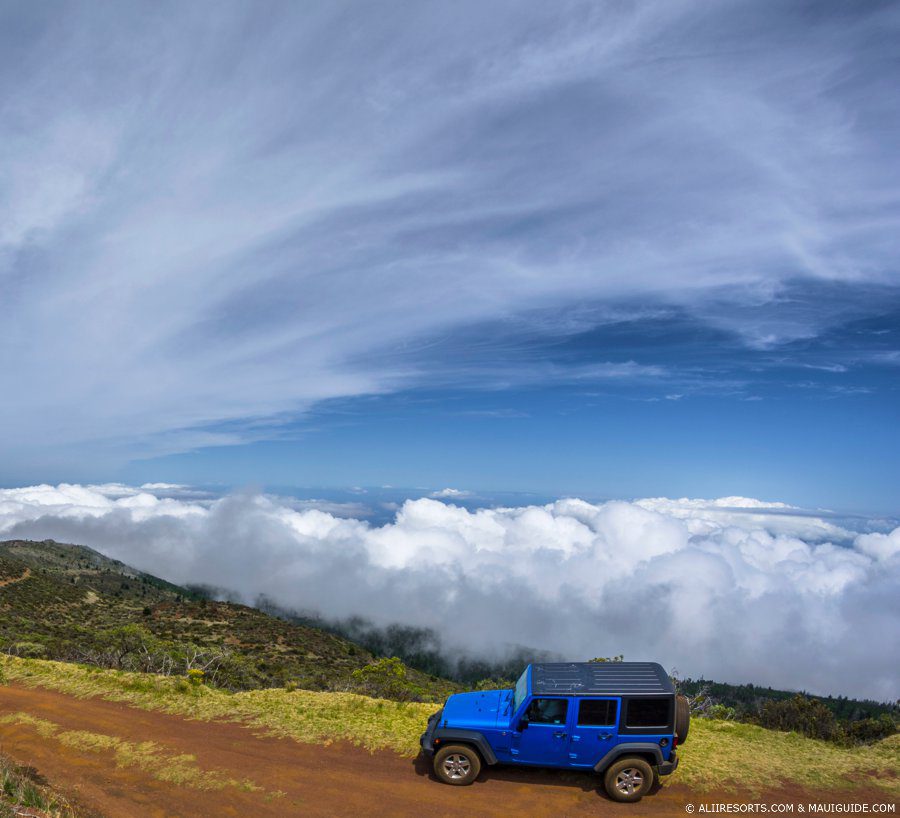 New Maui rental