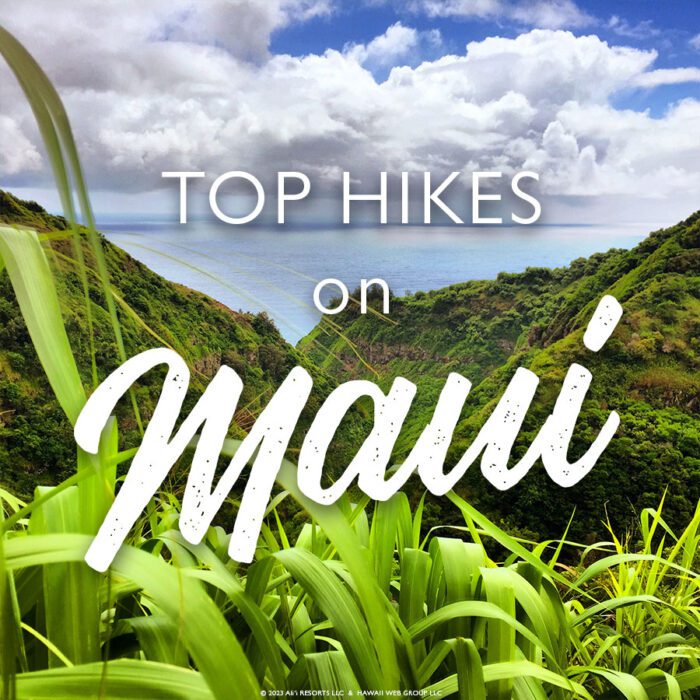 Top Hikes Maui