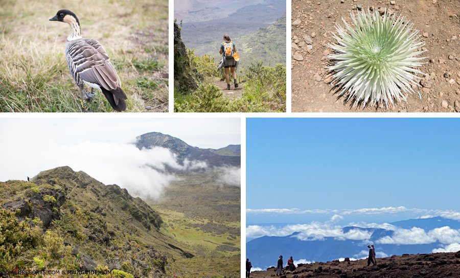 Haleakala hike