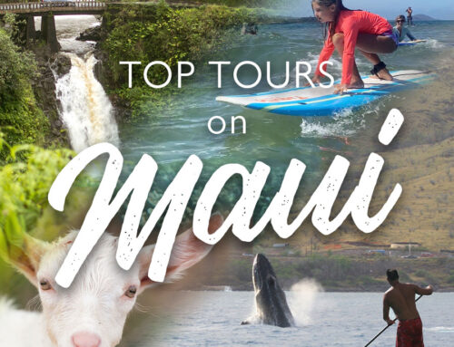 Top 7 Maui Tours in 2023 – 2024