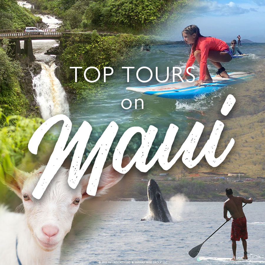 top tours on Maui