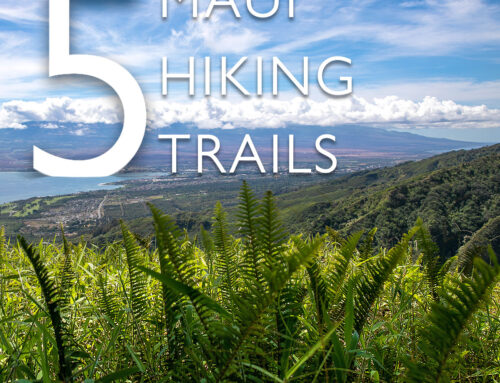 Top Hikes In Maui That Will Take Your Breath Away