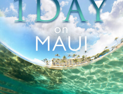 1-Day Itinerary of Maui: The Most Essential Things to Do