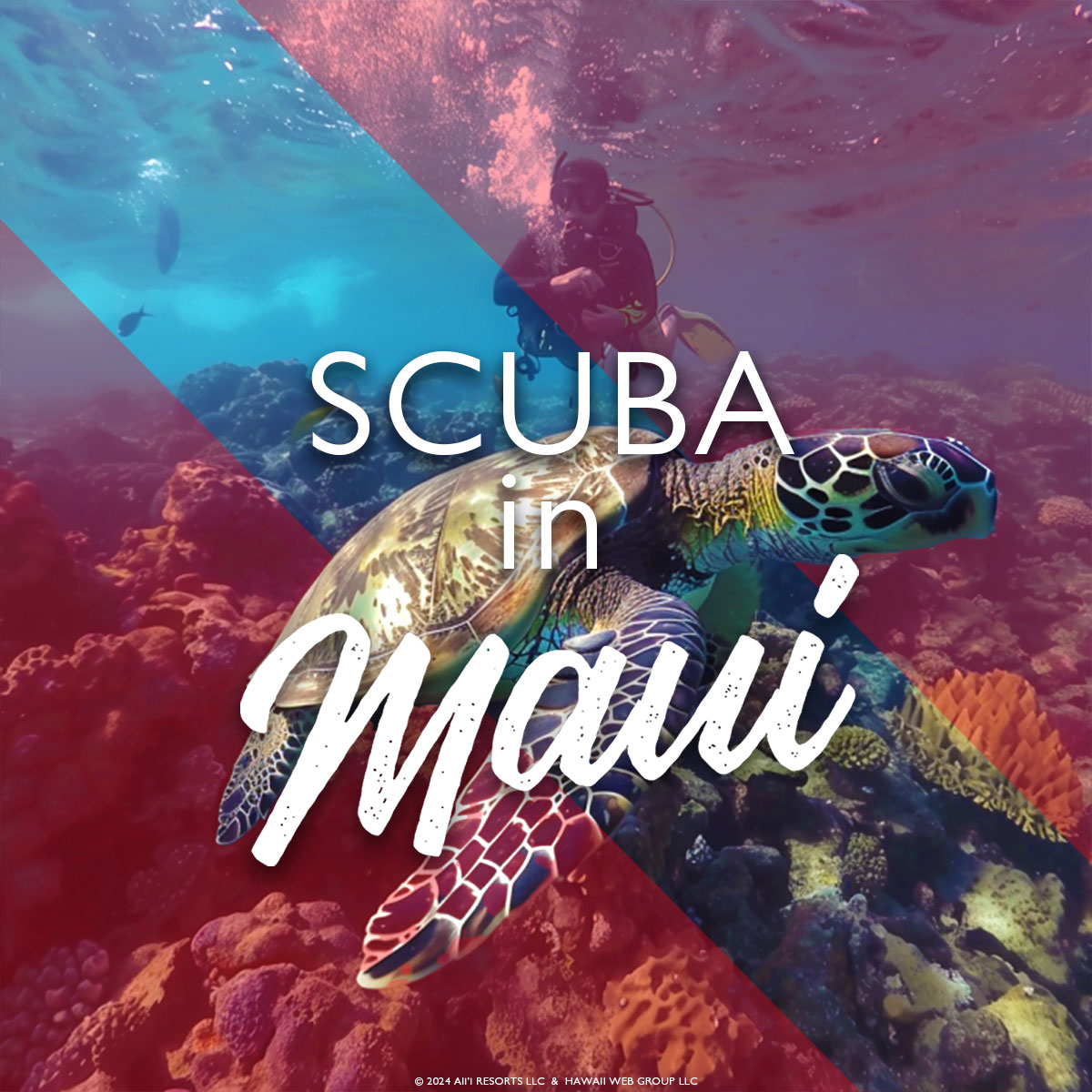 scuba in Maui