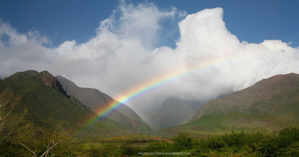 Maui tourism industry