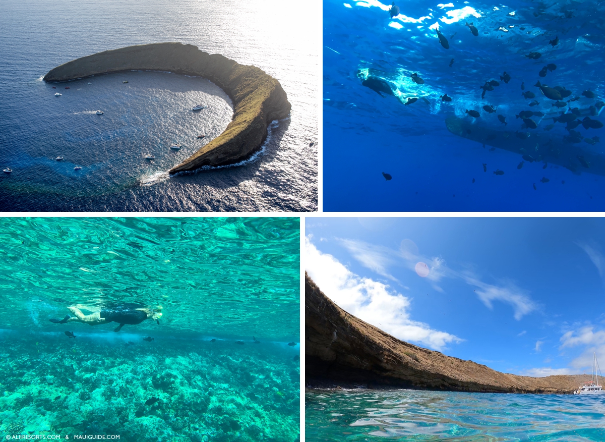 Molokini Crater