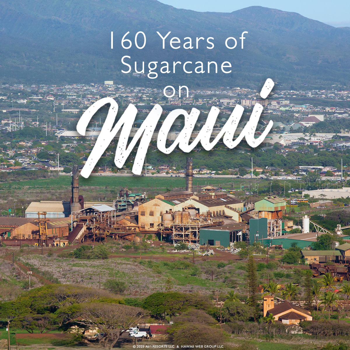 Maui Sugarcane Plantation