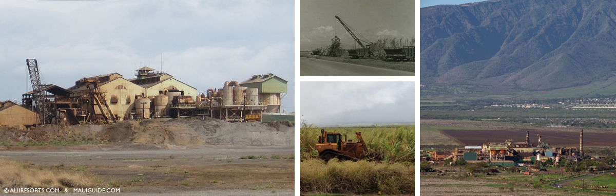 Sugarcane industry Maui
