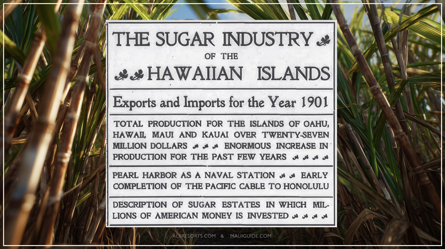 sugarcane era hawaii