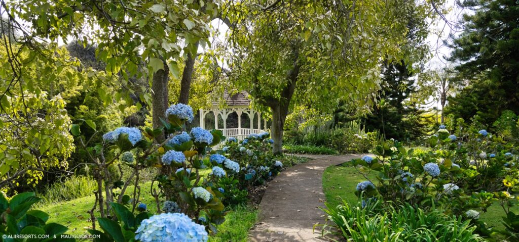 Kula Botanical Garden